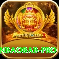 winbaobab PK Premium